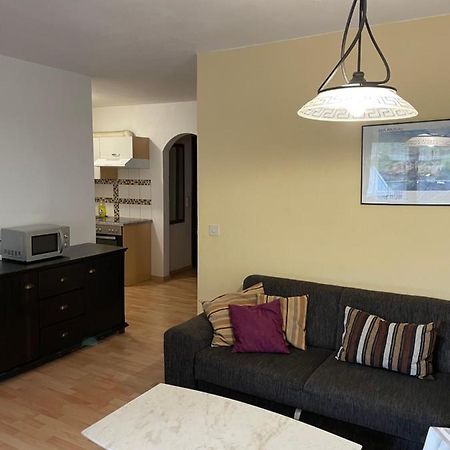 Captains Sunny Apartment At Sigl With Summercard Zell am See Zewnętrze zdjęcie